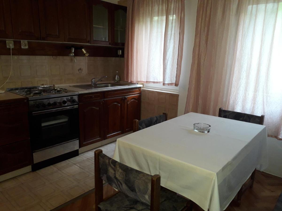 Apartmani Ana Novi V. - Studio Novi Vinodolski Zewnętrze zdjęcie