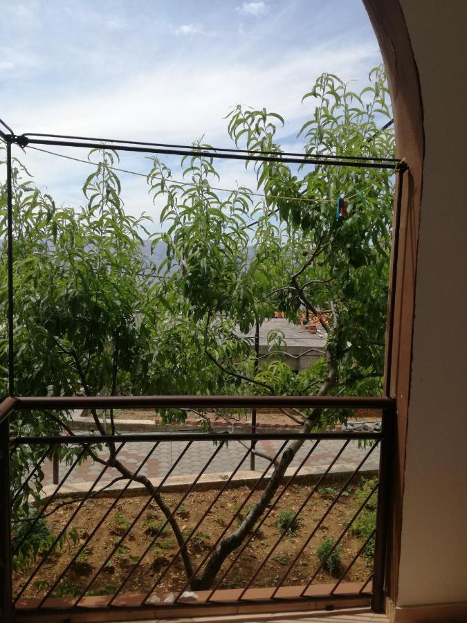 Apartmani Ana Novi V. - Studio Novi Vinodolski Zewnętrze zdjęcie